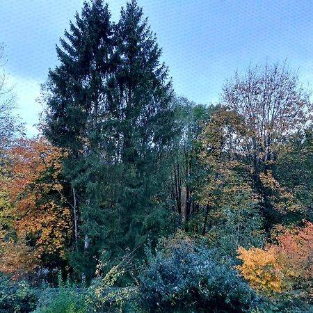 Apartament Olifant In Osterode Osterode am Harz Zewnętrze zdjęcie