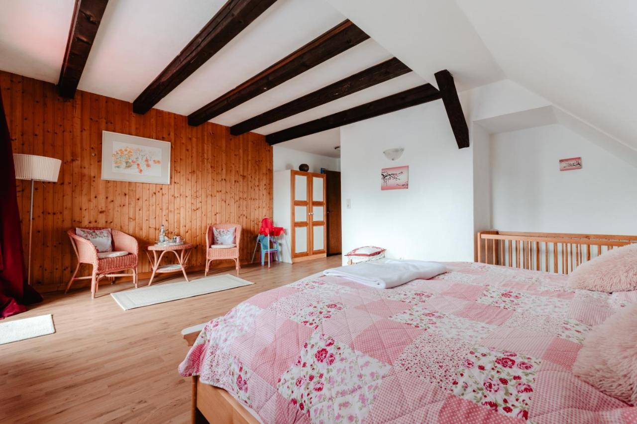 Apartament Olifant In Osterode Osterode am Harz Zewnętrze zdjęcie