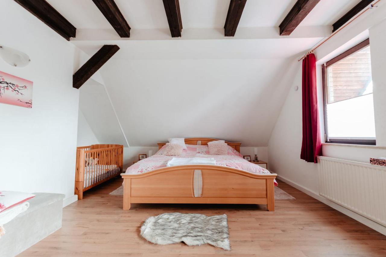Apartament Olifant In Osterode Osterode am Harz Zewnętrze zdjęcie