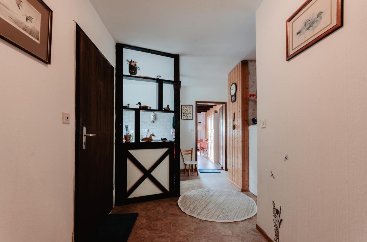 Apartament Olifant In Osterode Osterode am Harz Zewnętrze zdjęcie