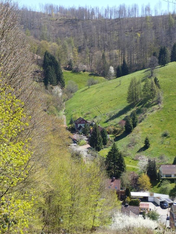 Apartament Olifant In Osterode Osterode am Harz Zewnętrze zdjęcie