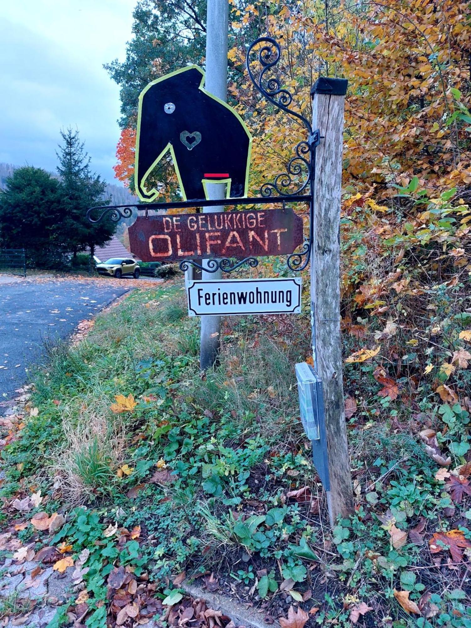 Apartament Olifant In Osterode Osterode am Harz Zewnętrze zdjęcie