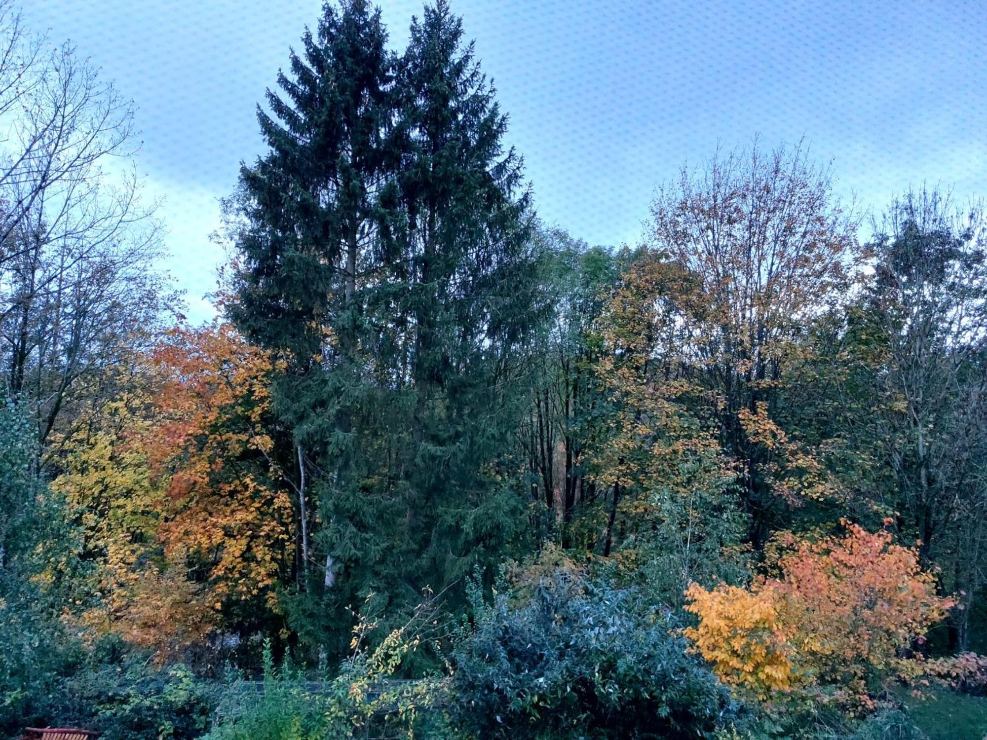 Apartament Olifant In Osterode Osterode am Harz Zewnętrze zdjęcie