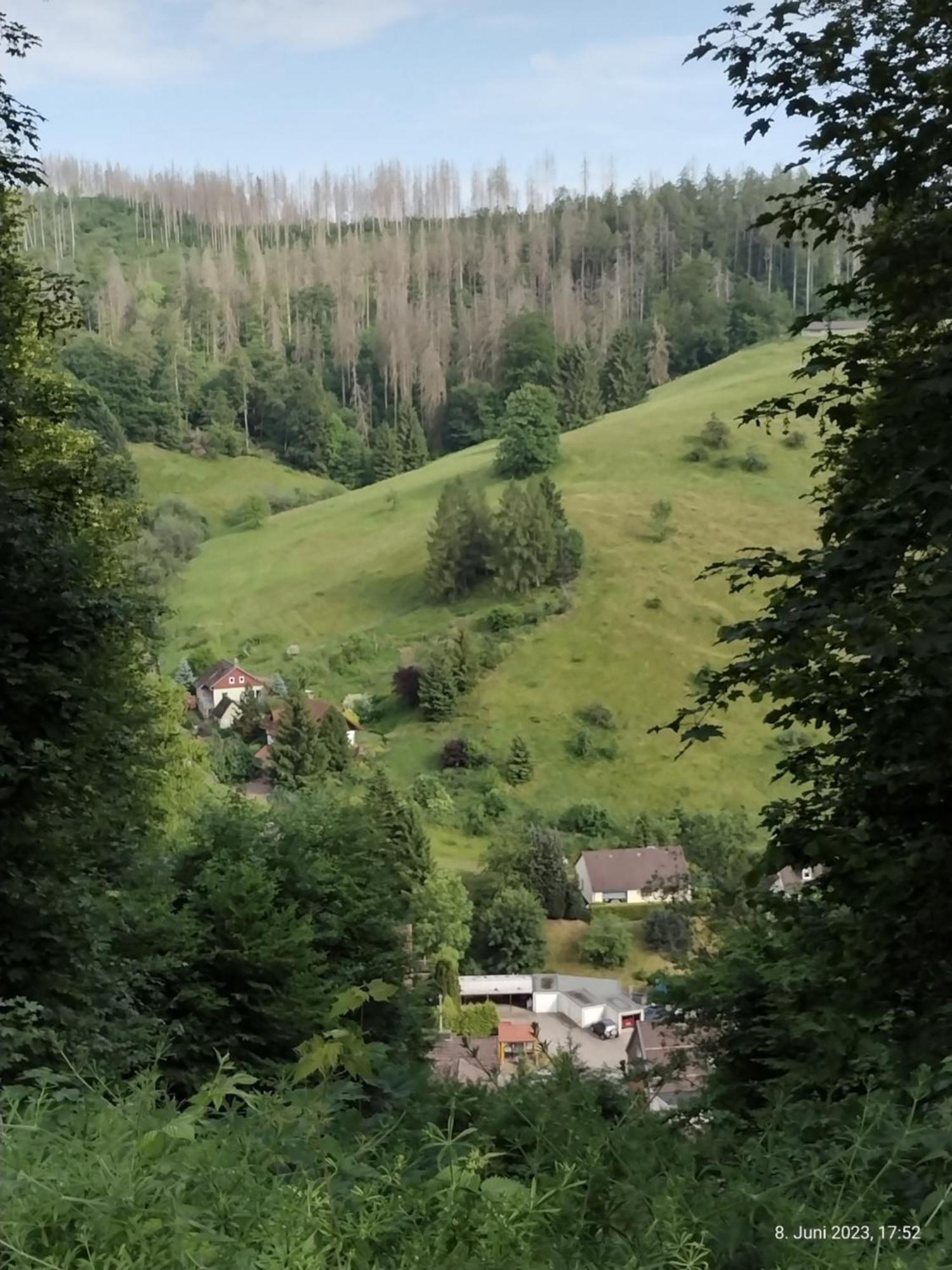 Apartament Olifant In Osterode Osterode am Harz Zewnętrze zdjęcie