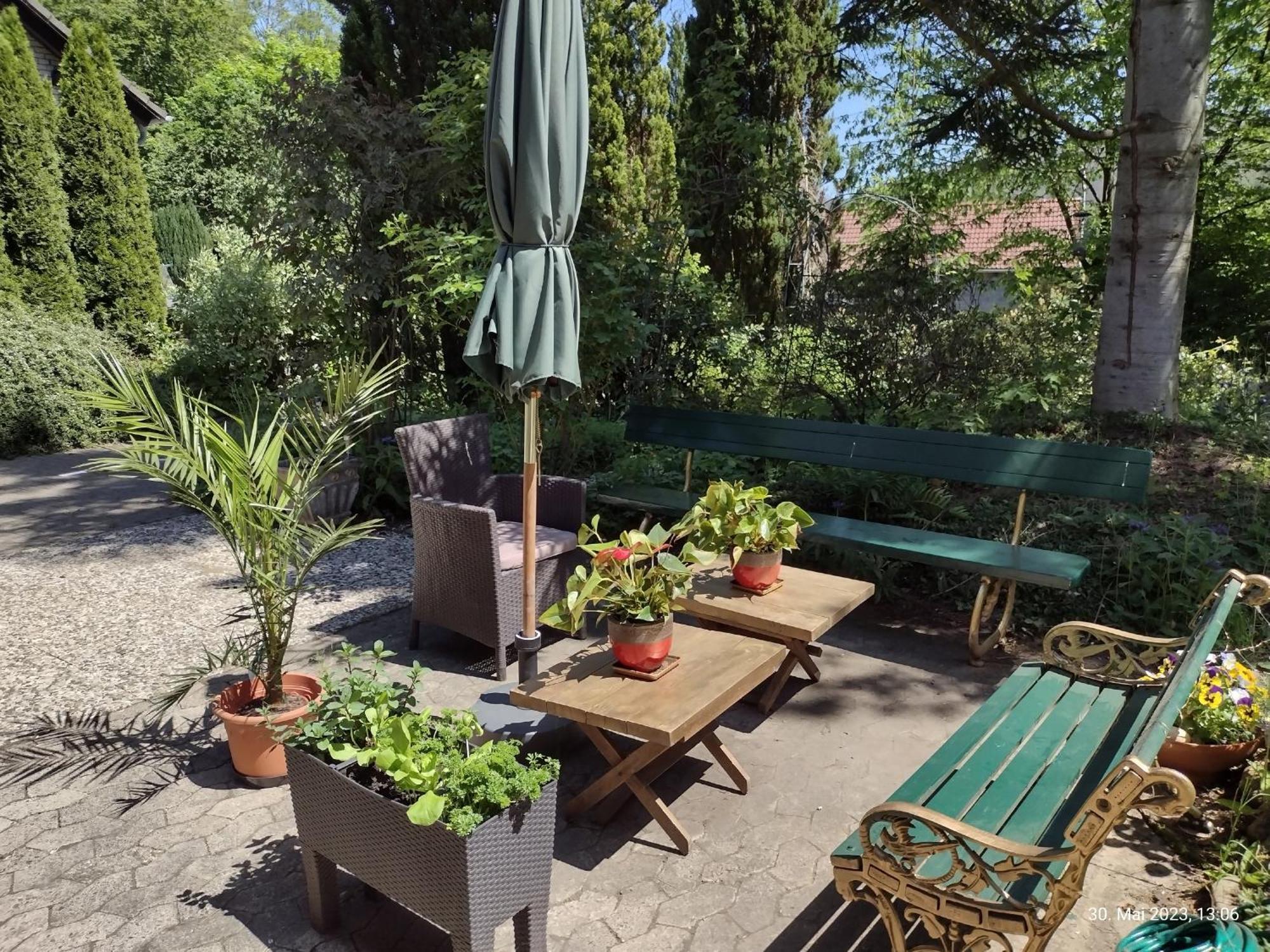 Apartament Olifant In Osterode Osterode am Harz Zewnętrze zdjęcie