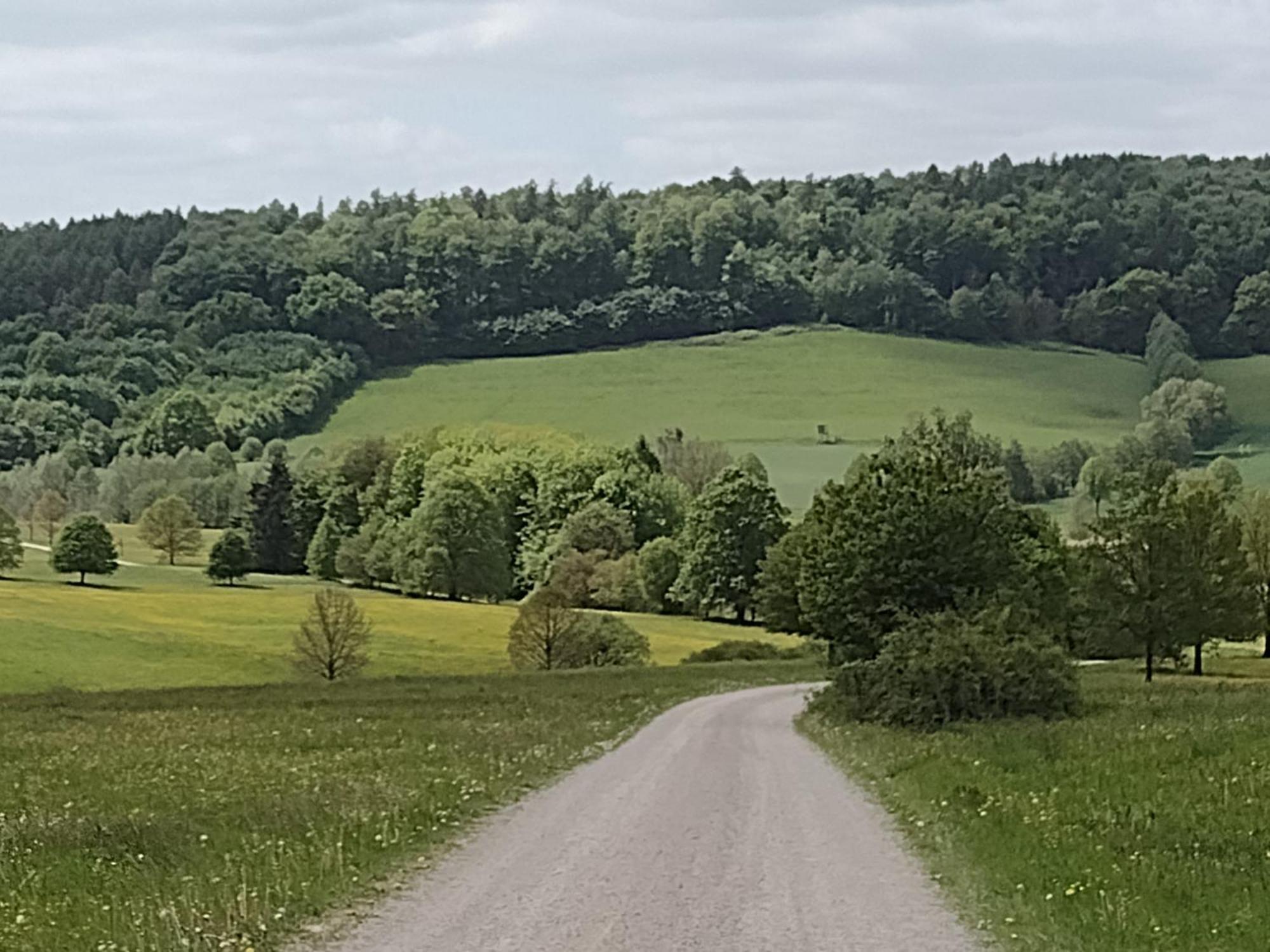 Apartament Olifant In Osterode Osterode am Harz Zewnętrze zdjęcie