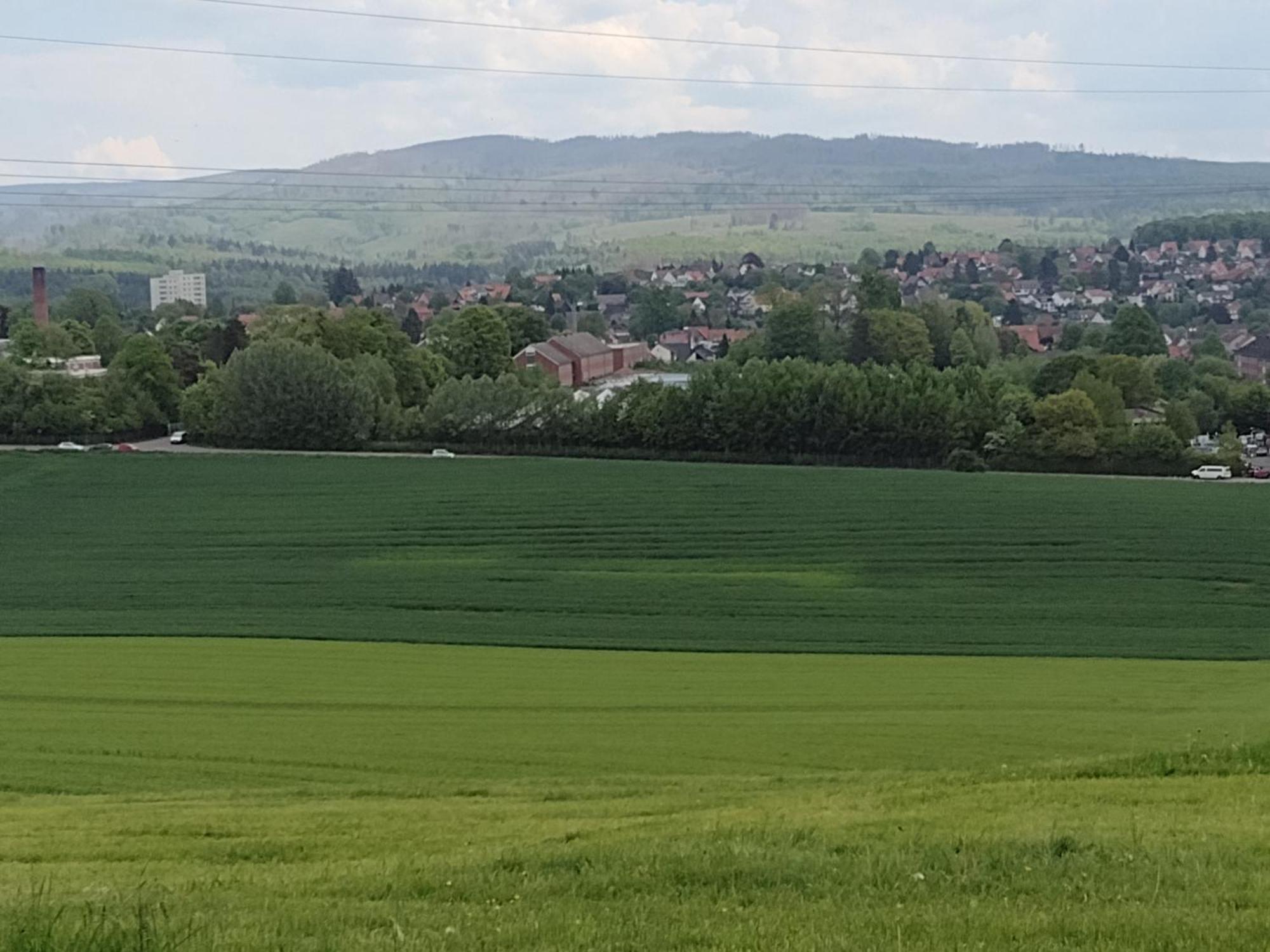 Apartament Olifant In Osterode Osterode am Harz Zewnętrze zdjęcie