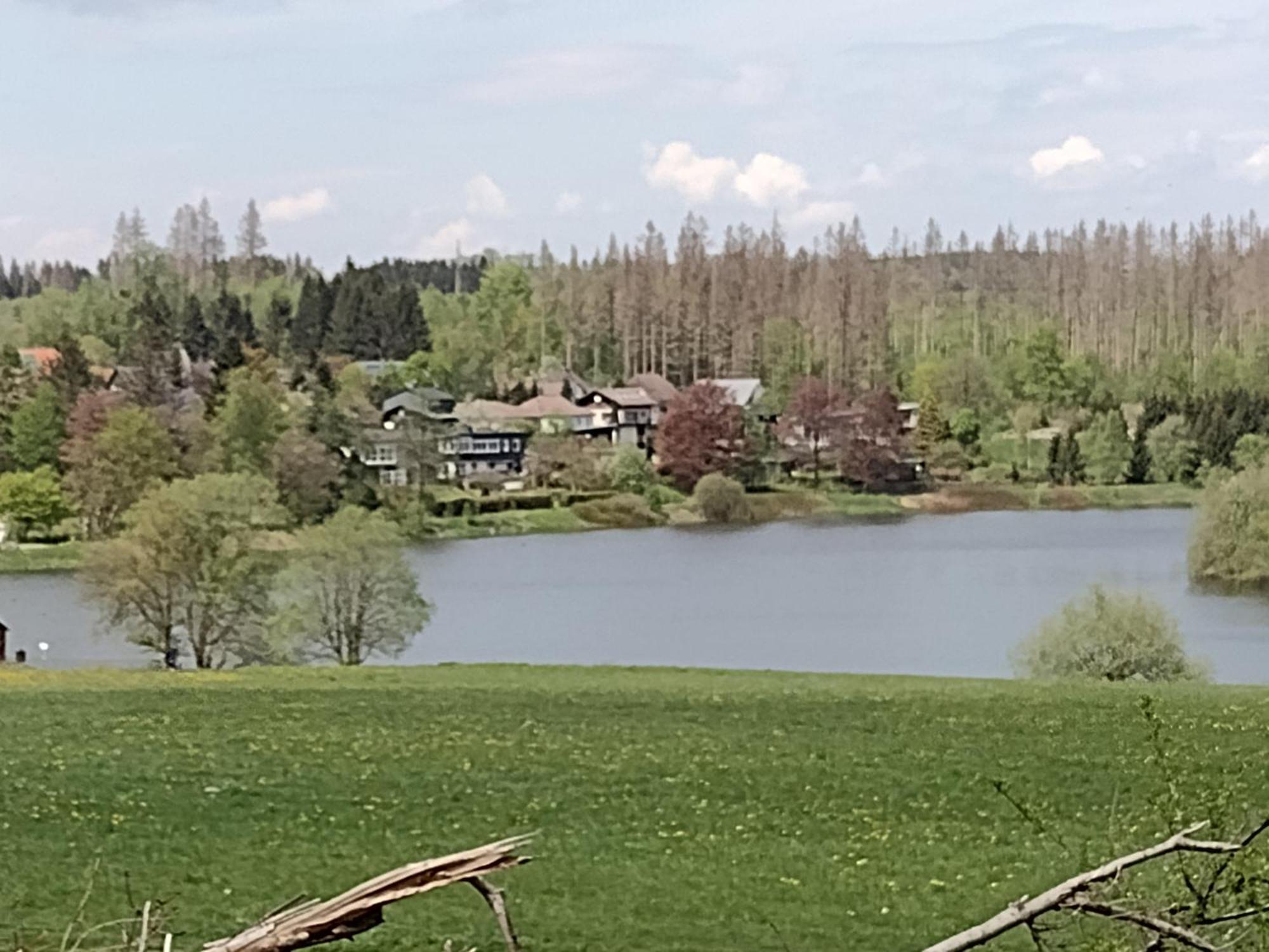 Apartament Olifant In Osterode Osterode am Harz Zewnętrze zdjęcie