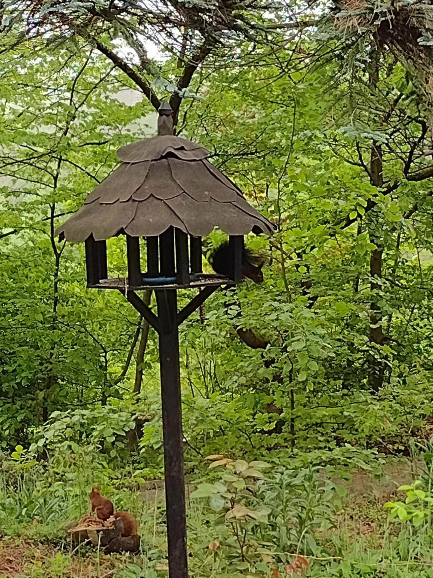 Apartament Olifant In Osterode Osterode am Harz Zewnętrze zdjęcie